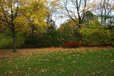 Herbststimmung-25-10-09 011.jpg